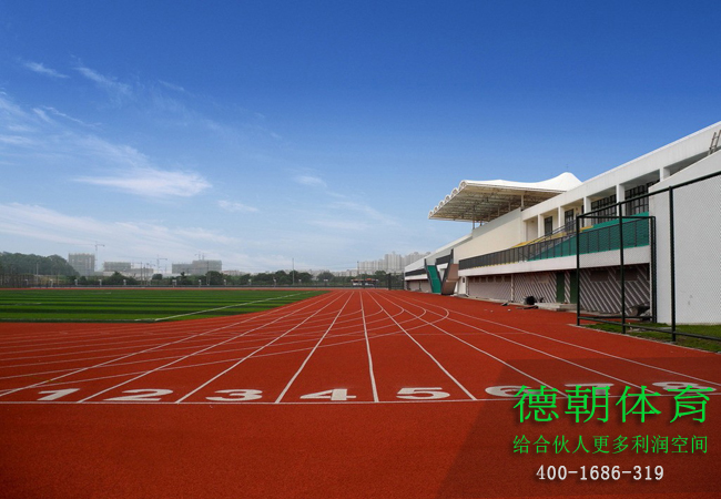 新國(guó)標(biāo)塑膠跑道施工