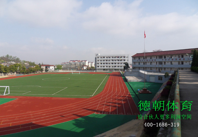 新國標塑膠跑道場地