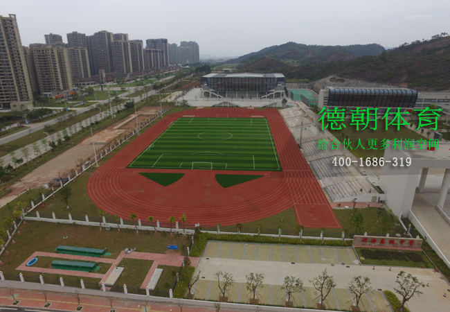 新國(guó)標(biāo)塑膠跑道材料