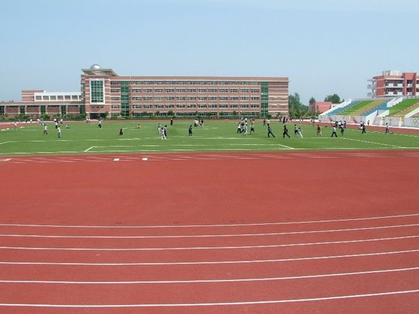 江西復(fù)合型跑道材料