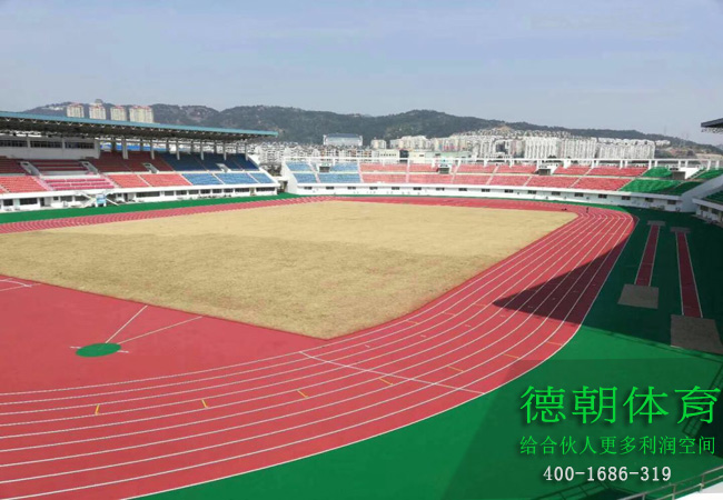 四川新國(guó)標(biāo)塑膠跑道