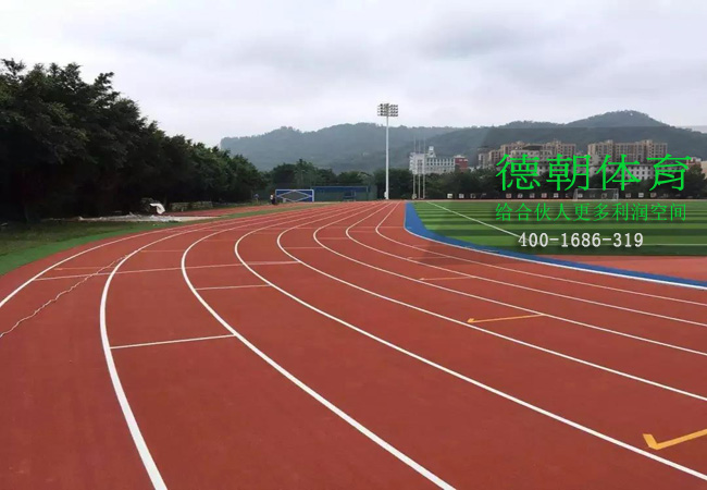 河北新國(guó)標(biāo)塑膠跑道材料
