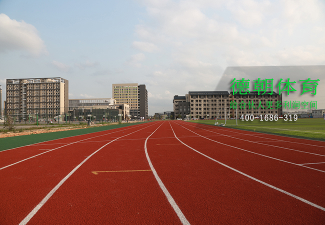新國標(biāo)混合型塑膠跑道